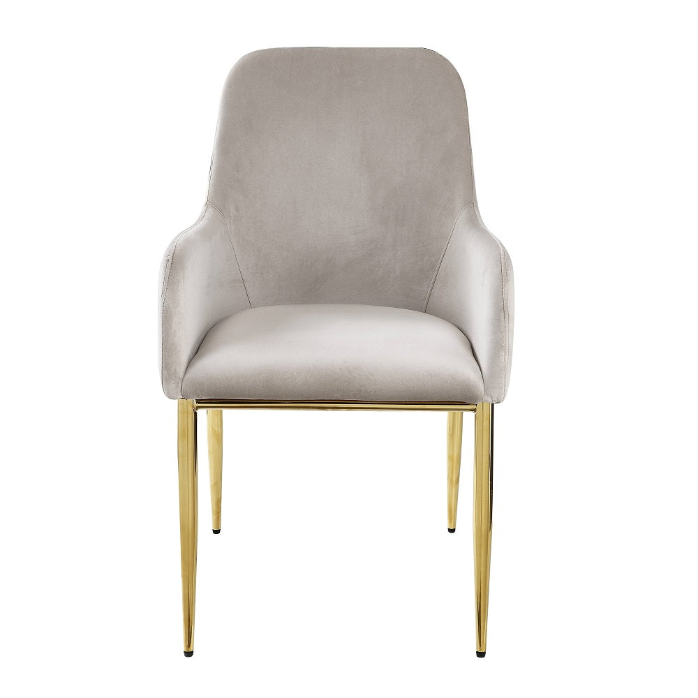 Barnard Gray Velvet & Mirrored Gold Finish Side Chair (Set-2)