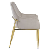 Barnard Gray Velvet & Mirrored Gold Finish Side Chair (Set-2)