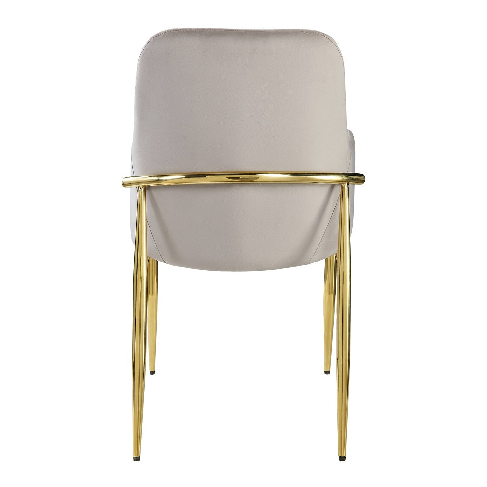 Barnard Gray Velvet & Mirrored Gold Finish Side Chair (Set-2)