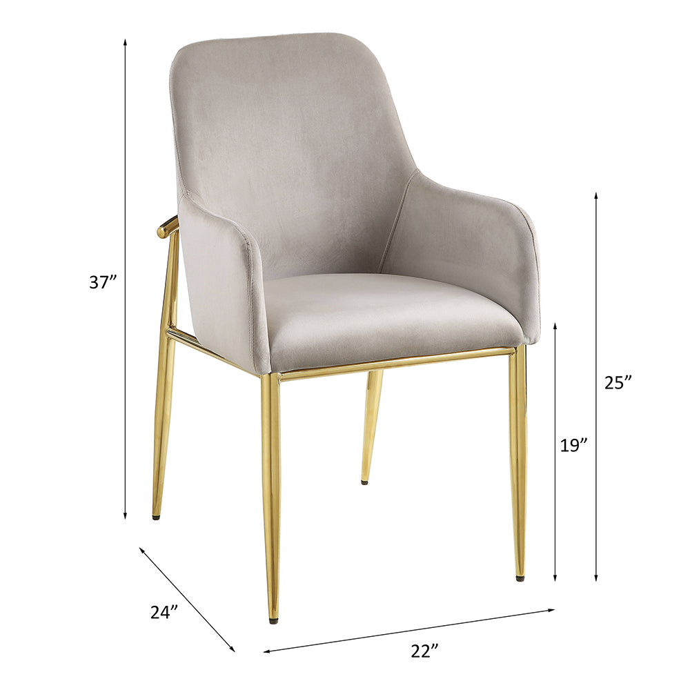 Barnard Gray Velvet & Mirrored Gold Finish Side Chair (Set-2)