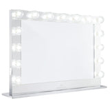 Hollywood Reflection® Pro Vanity Mirror