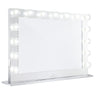 Hollywood Reflection® Pro Vanity Mirror