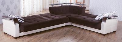 Natural Sectional (Colins Brown) 4 Pieces