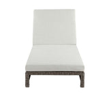 Salena Beige Fabric & Gray Finish Patio Lounge Chair