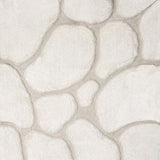 Frederiction 5' X 7' Ivory Area Rug