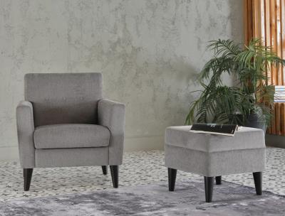 Theo Accent Chair+Ottoman (Theo Grey)